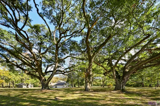 $598,000 | 15492 La Highway, St. Francisville, LA 70775