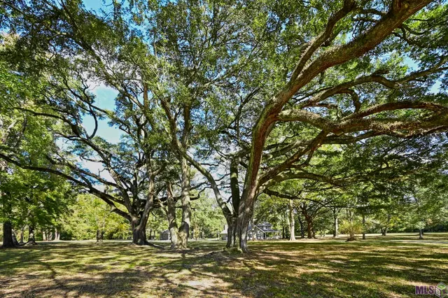 $598,000 | 15492 La Highway, St. Francisville, LA 70775