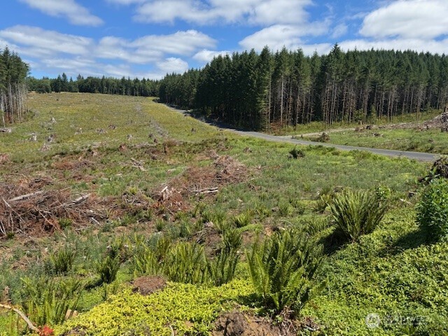 0 August Road Onalaska, WA 98570 - Photo 11 of 28