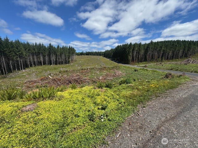 0 August Road Onalaska, WA 98570 - Photo 12 of 28