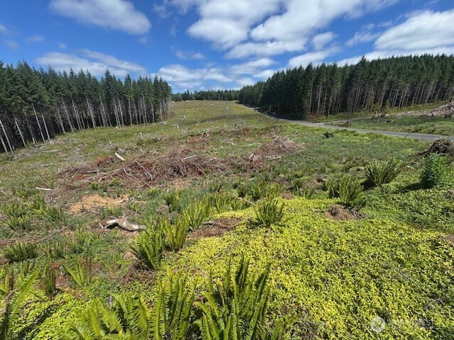 0 August Road Onalaska, WA 98570 - Photo 13 of 28