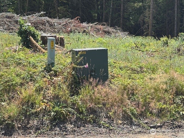 0 August Road Onalaska, WA 98570 - Photo 14 of 28