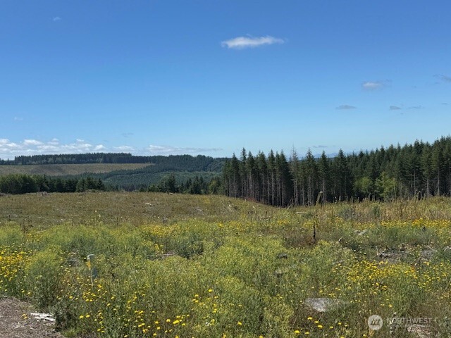 0 August Road Onalaska, WA 98570 - Photo 15 of 28