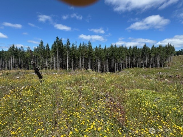 0 August Road Onalaska, WA 98570 - Photo 16 of 28