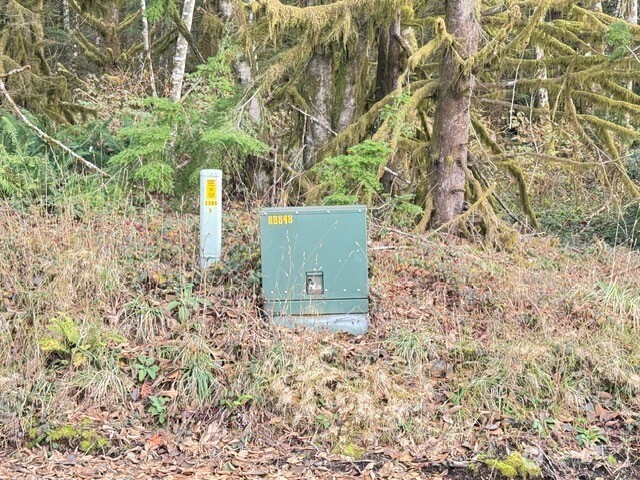 0 August Road Onalaska, WA 98570 - Photo 17 of 28