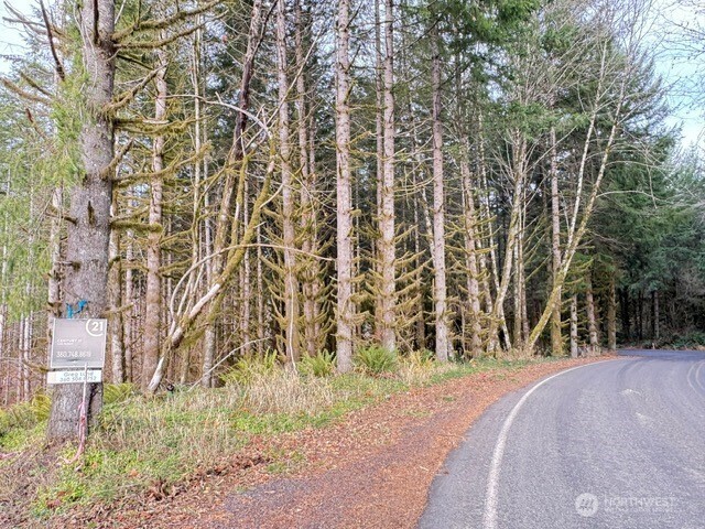 0 August Road Onalaska, WA 98570 - Photo 18 of 28