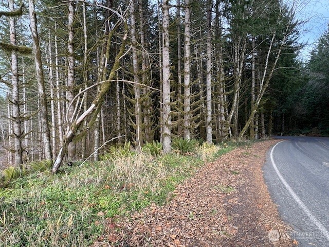 0 August Road Onalaska, WA 98570 - Photo 19 of 28