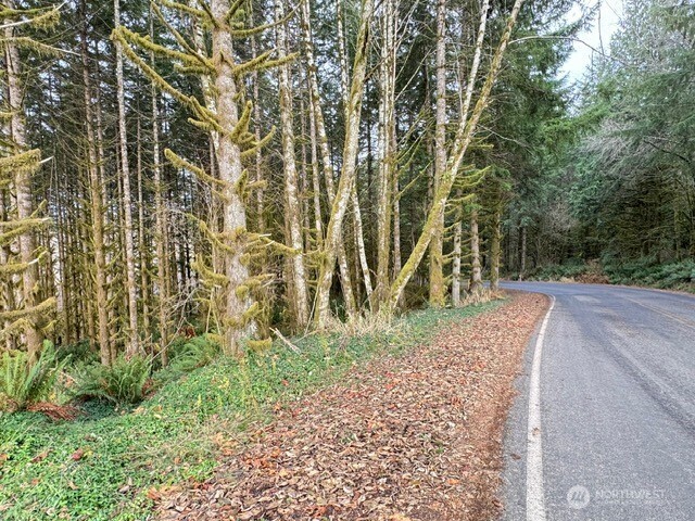 0 August Road Onalaska, WA 98570 - Photo 20 of 28