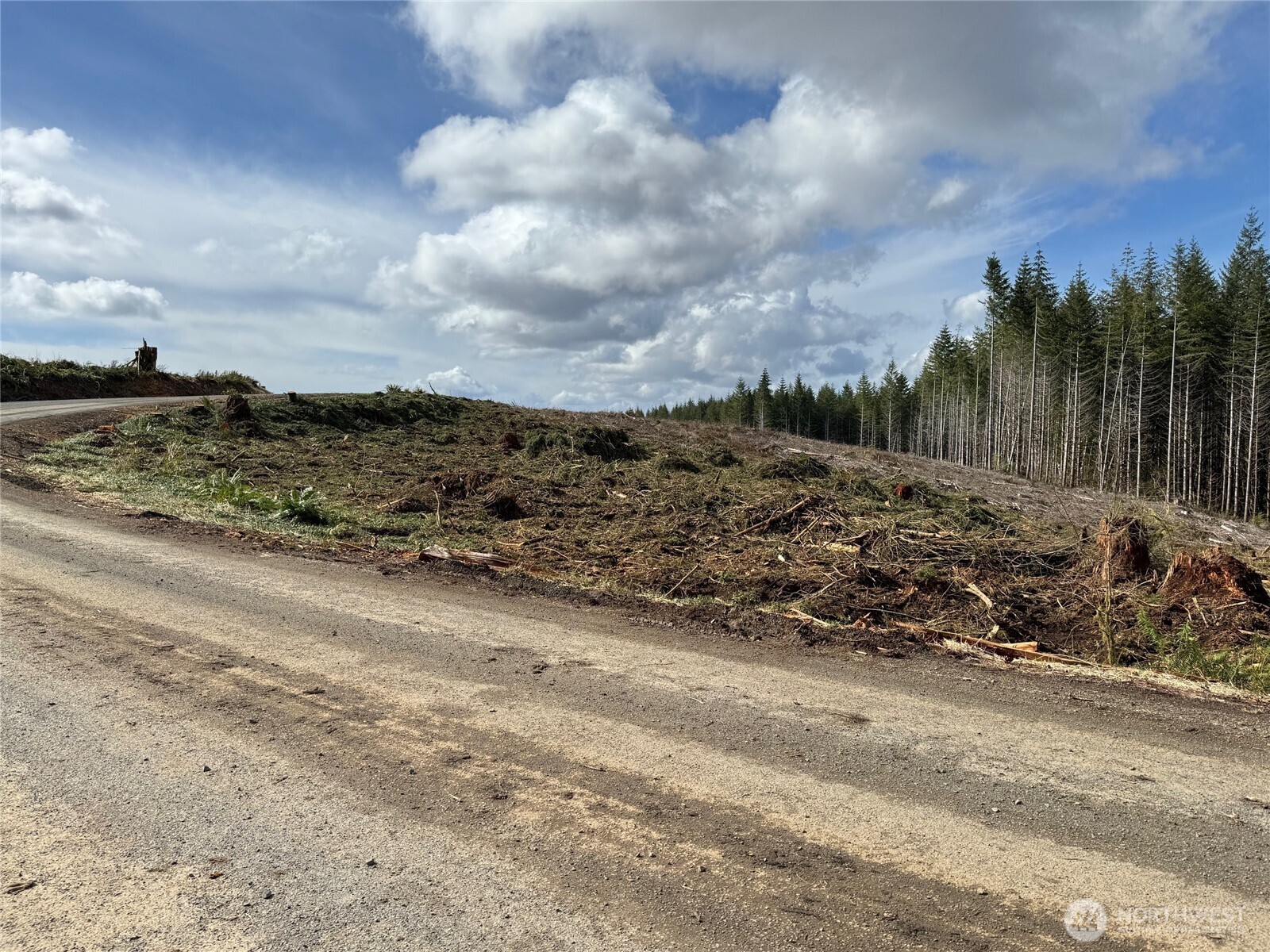 0 August Road Onalaska, WA 98570 - Photo 2 of 28