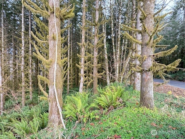 0 August Road Onalaska, WA 98570 - Photo 21 of 28