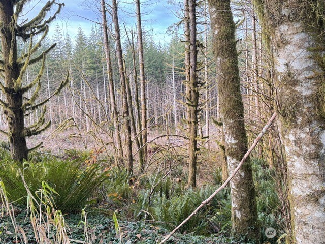 0 August Road Onalaska, WA 98570 - Photo 23 of 28