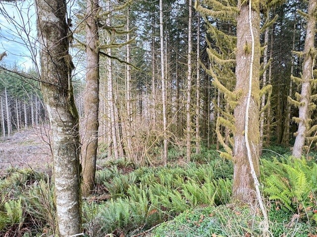 0 August Road Onalaska, WA 98570 - Photo 25 of 28