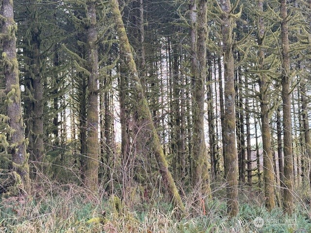 0 August Road Onalaska, WA 98570 - Photo 26 of 28