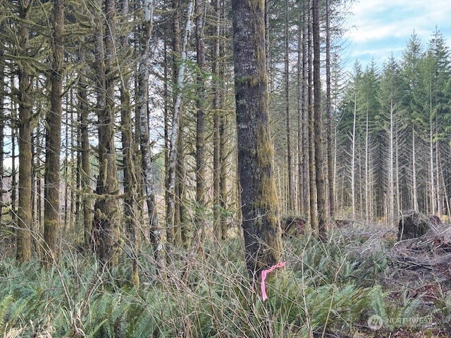 0 August Road Onalaska, WA 98570 - Photo 27 of 28