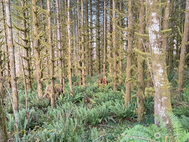 0 August Road Onalaska, WA 98570 - Photo 28 of 28