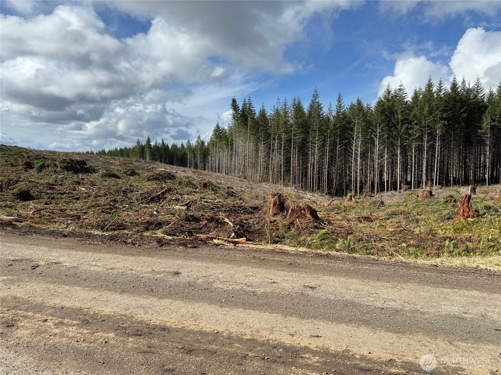 0 August Road Onalaska, WA 98570 - Photo 3 of 28