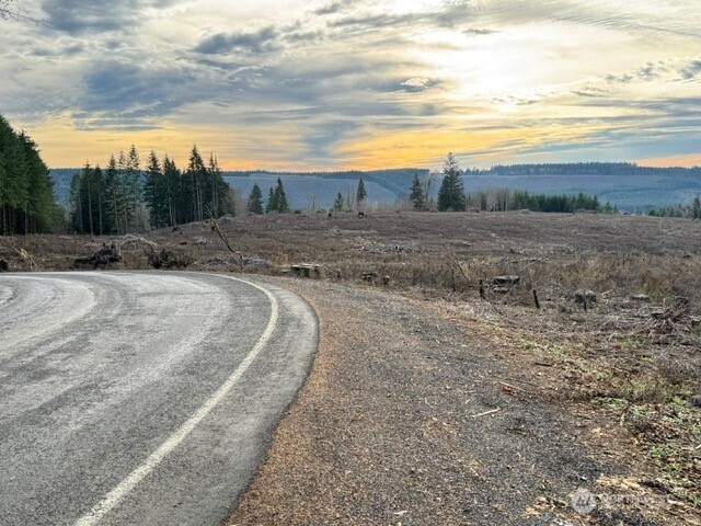 0 August Road Onalaska, WA 98570 - Photo 4 of 28