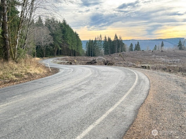 0 August Road Onalaska, WA 98570 - Photo 5 of 28