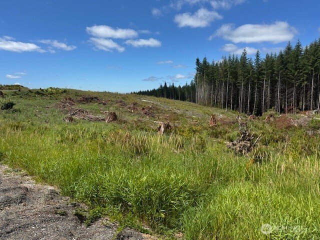 0 August Road Onalaska, WA 98570 - Photo 7 of 28