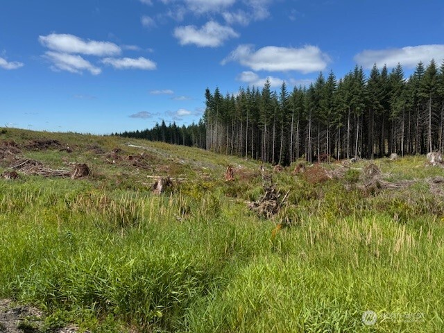 0 August Road Onalaska, WA 98570 - Photo 8 of 28