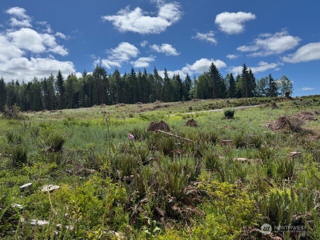 0 August Road Onalaska, WA 98570 - Photo 9 of 28