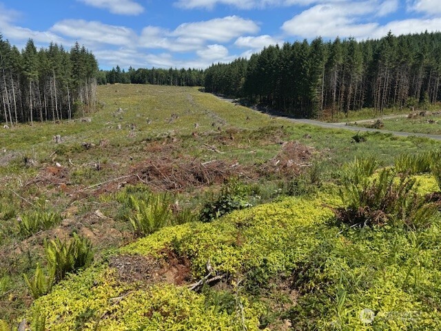 0 August Road Onalaska, WA 98570 - Photo 10 of 28