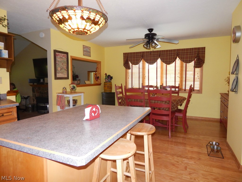 10106 Nichols Road Mantua, OH 44255 - Photo 3 of 25 Gallery Image 3