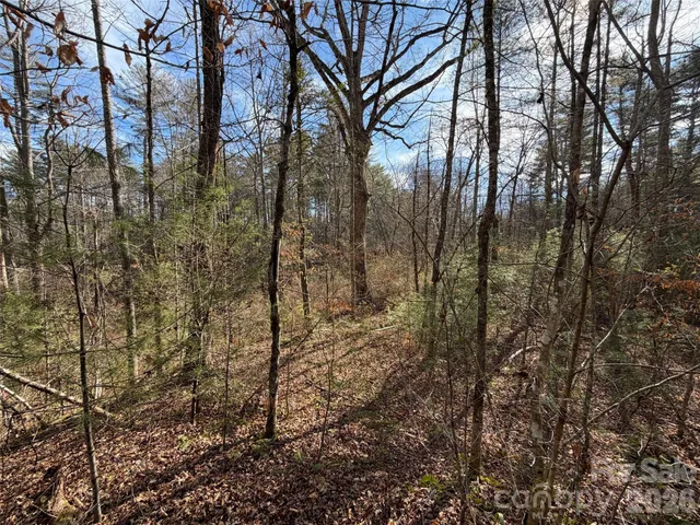 a backyard of a house