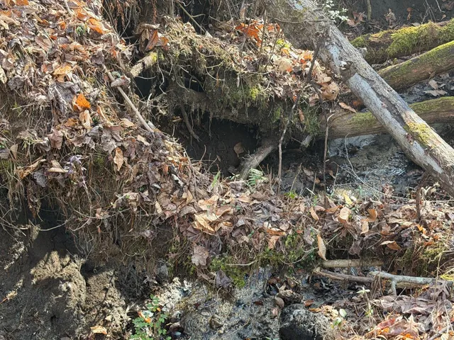 $139,000 | Lot 52 High Hemlock Trail, Unit 52, Brevard, NC 28712