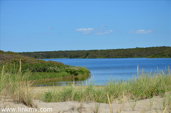 140 Watcha Club Road West Tisbury, MA 02568 - Photo 11 of 13 http://d1qzqeyxiitrap.cloudfront.net/photos/25514/600/ac9154fe.jpg