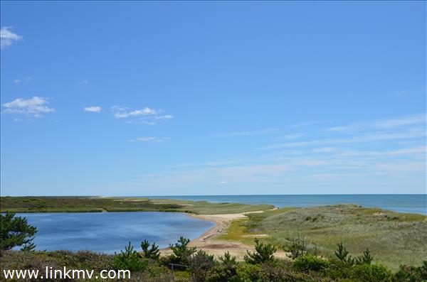 140 Watcha Club Road West Tisbury, MA 02568 - Photo 3 of 13 http://d1qzqeyxiitrap.cloudfront.net/photos/25514/600/13a43dee.jpg