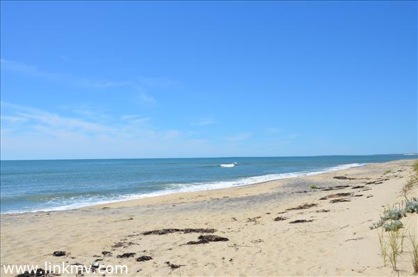 140 Watcha Club Road West Tisbury, MA 02568 - Photo 10 of 13 http://d1qzqeyxiitrap.cloudfront.net/photos/25514/600/19be2070.jpg