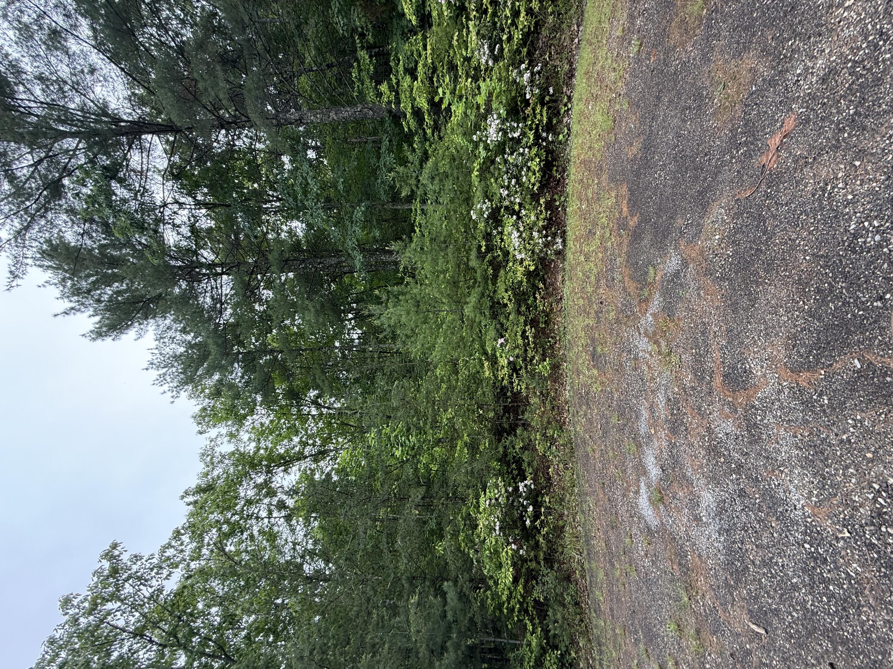 Lot 5 Galax Road New Castle, VA 24127 - Photo 1 of 2 Lot