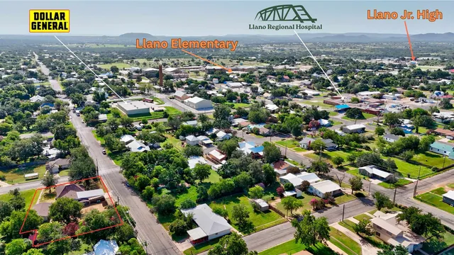 a view of a bunch of flowers