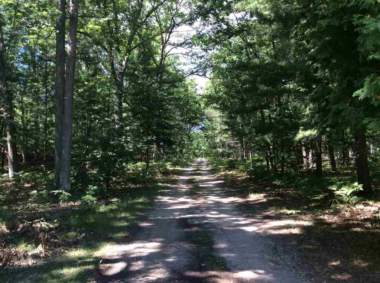 6323 Betsie River Road Interlochen, MI 49643 - Photo 27 of 33 1823083-26.JPG
