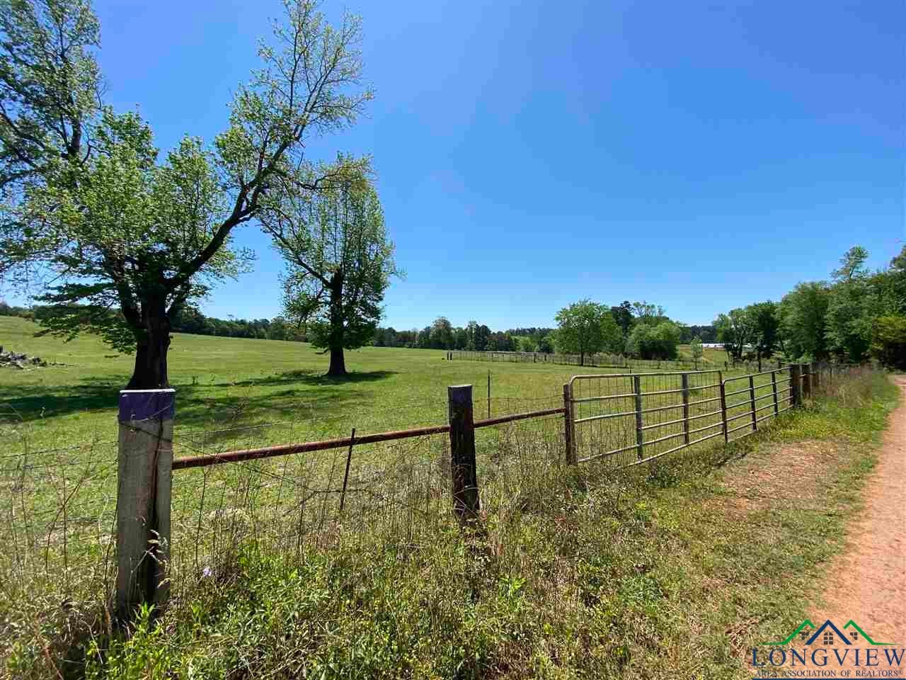 Tbd Orchid Road Ore City, TX 75683 - Photo 3 of 36 Gallery Image 3