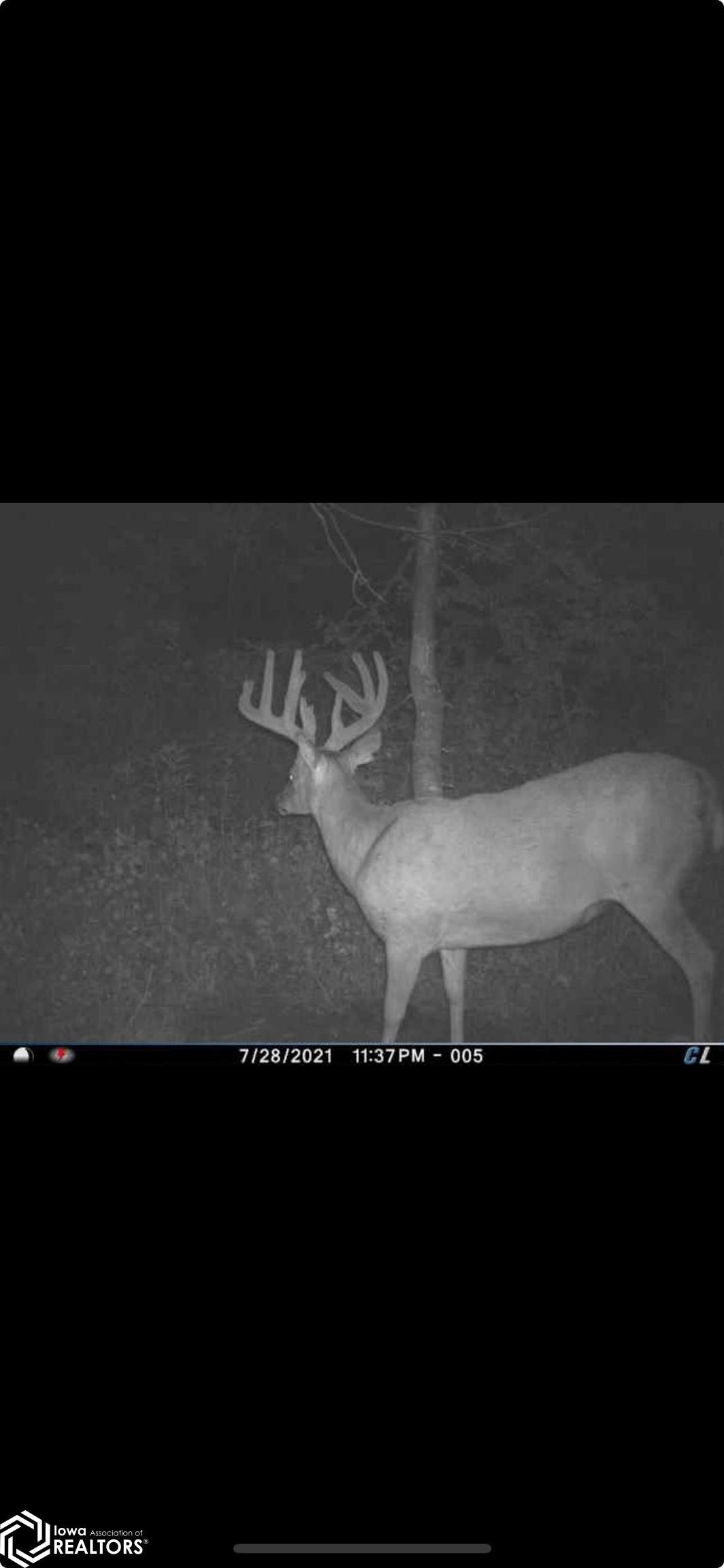 26845 County Road R52 Leon, IA 50144 - Photo 80 of 92 Gallery Image 80