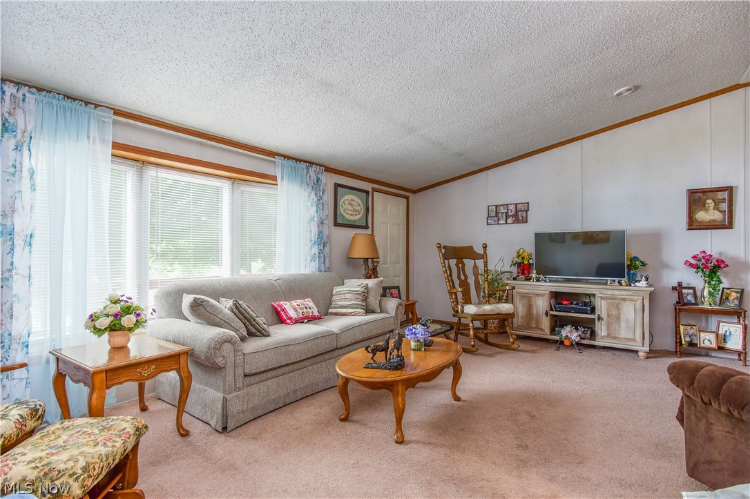 32233 Wisner Road Hanoverton, OH 44423 - Photo 5 of 26 Gallery Image 5
