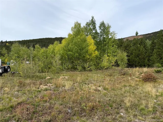 a view of a yard with an trees