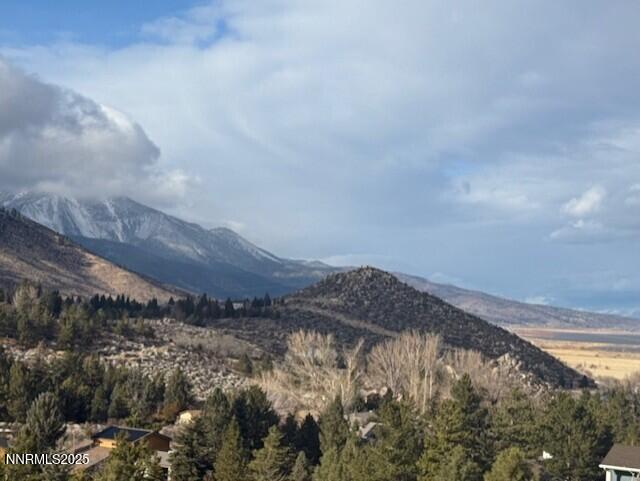 3733 Buckskin Road Carson City, NV 89703 - Photo 11 of 13 a view of a dry yard