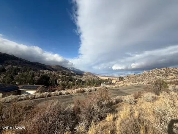 a view of a dry yard