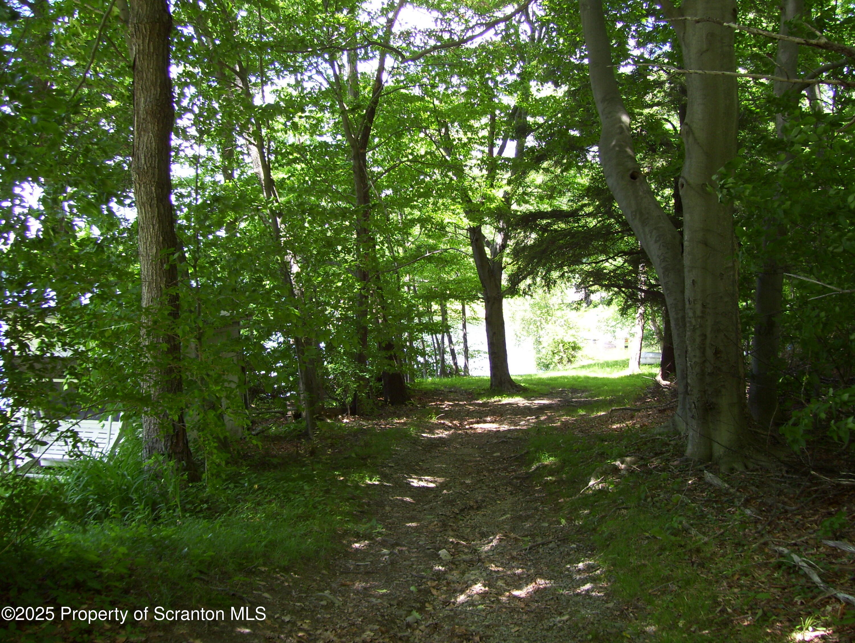 a big yard with lots of green space and trees