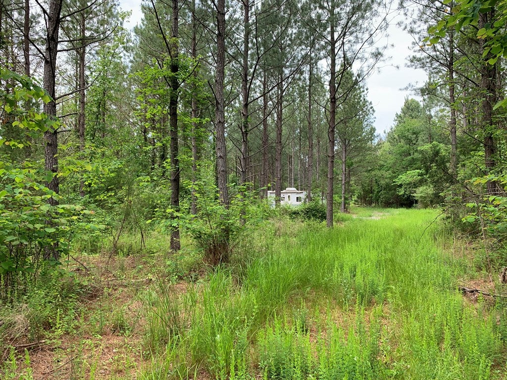 Cove Road Clover, VA 24534 - Photo 22 of 22 Gallery Image 22