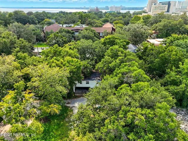 $1,295,000 | 1445 Flagler Avenue, Jacksonville, FL 32207