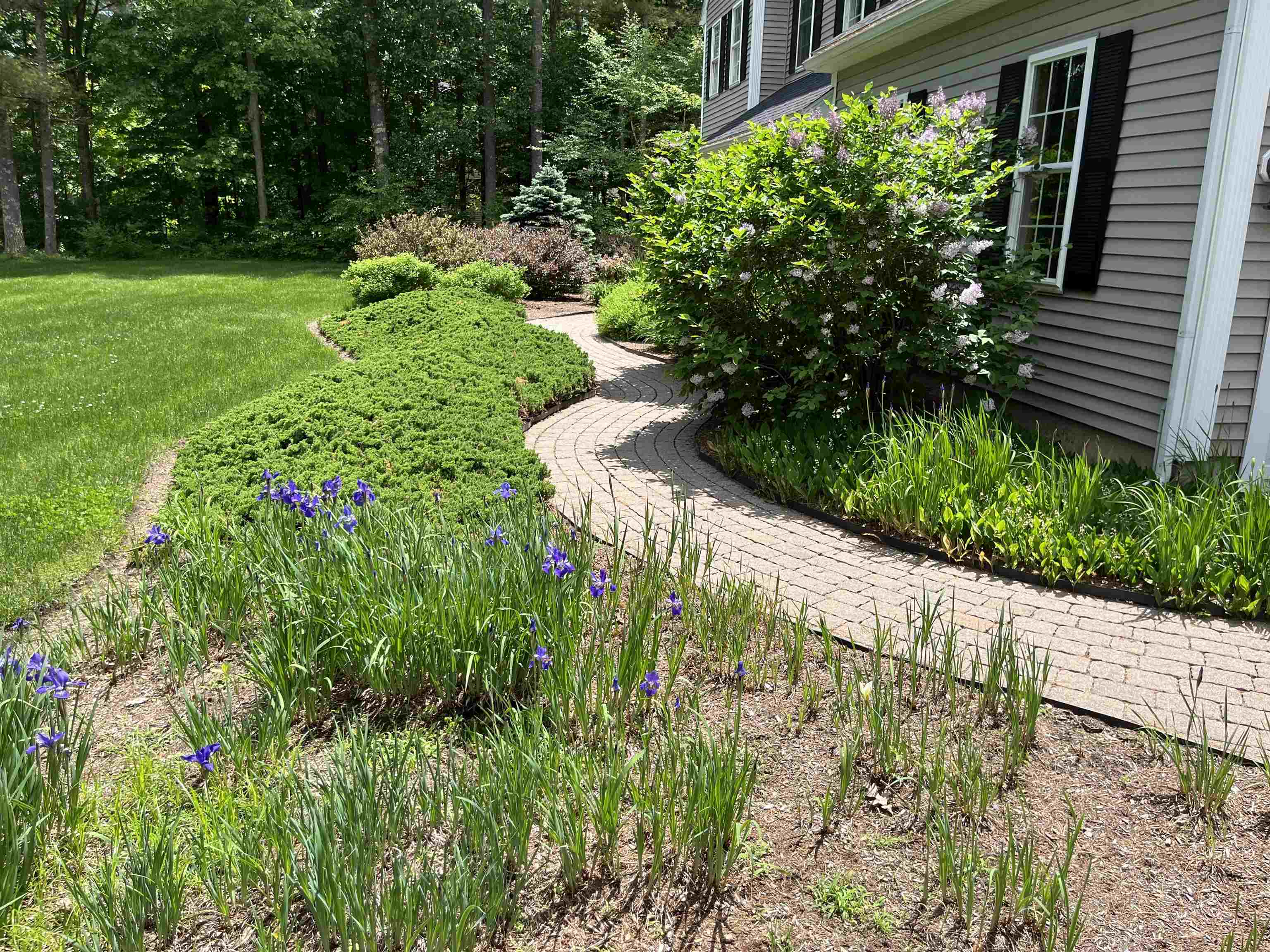 6 Rimmon Court Merrimack, NH 03054 - Photo 24 of 40 Gallery Image 24