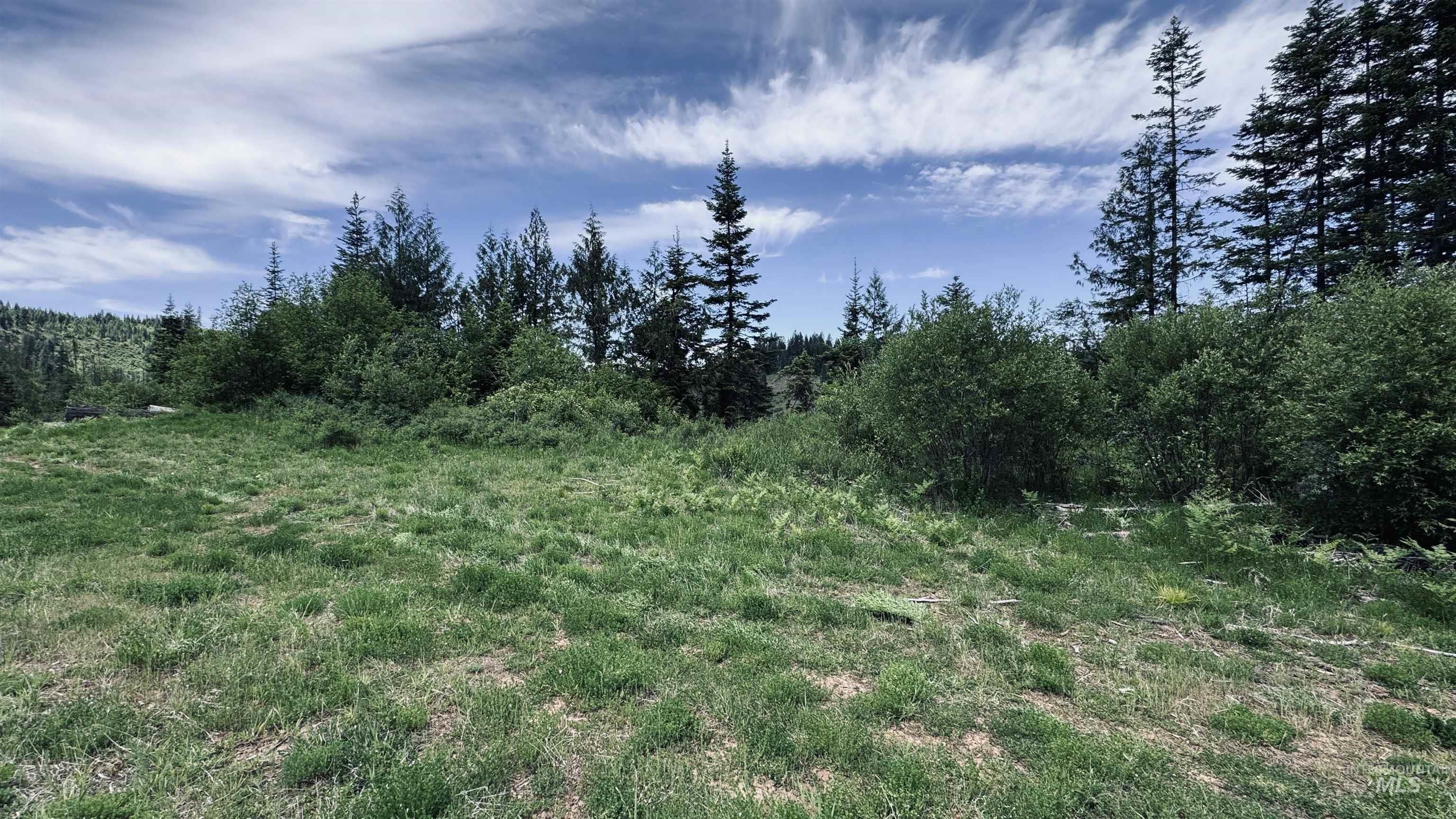Tbd Glenwood Road Kamiah, ID 83536 - Photo 46 of 50