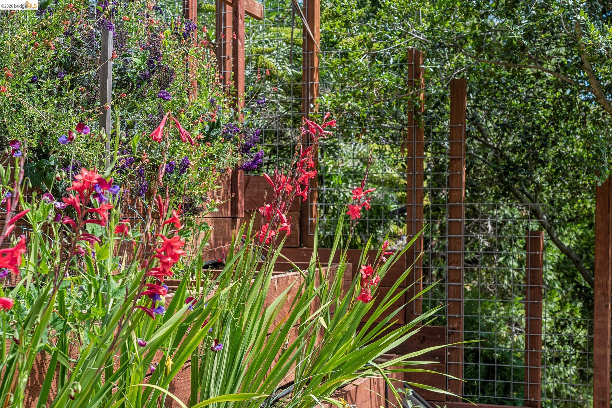 6383 Valley View Road Oakland, CA 94611 - Photo 64 of 99