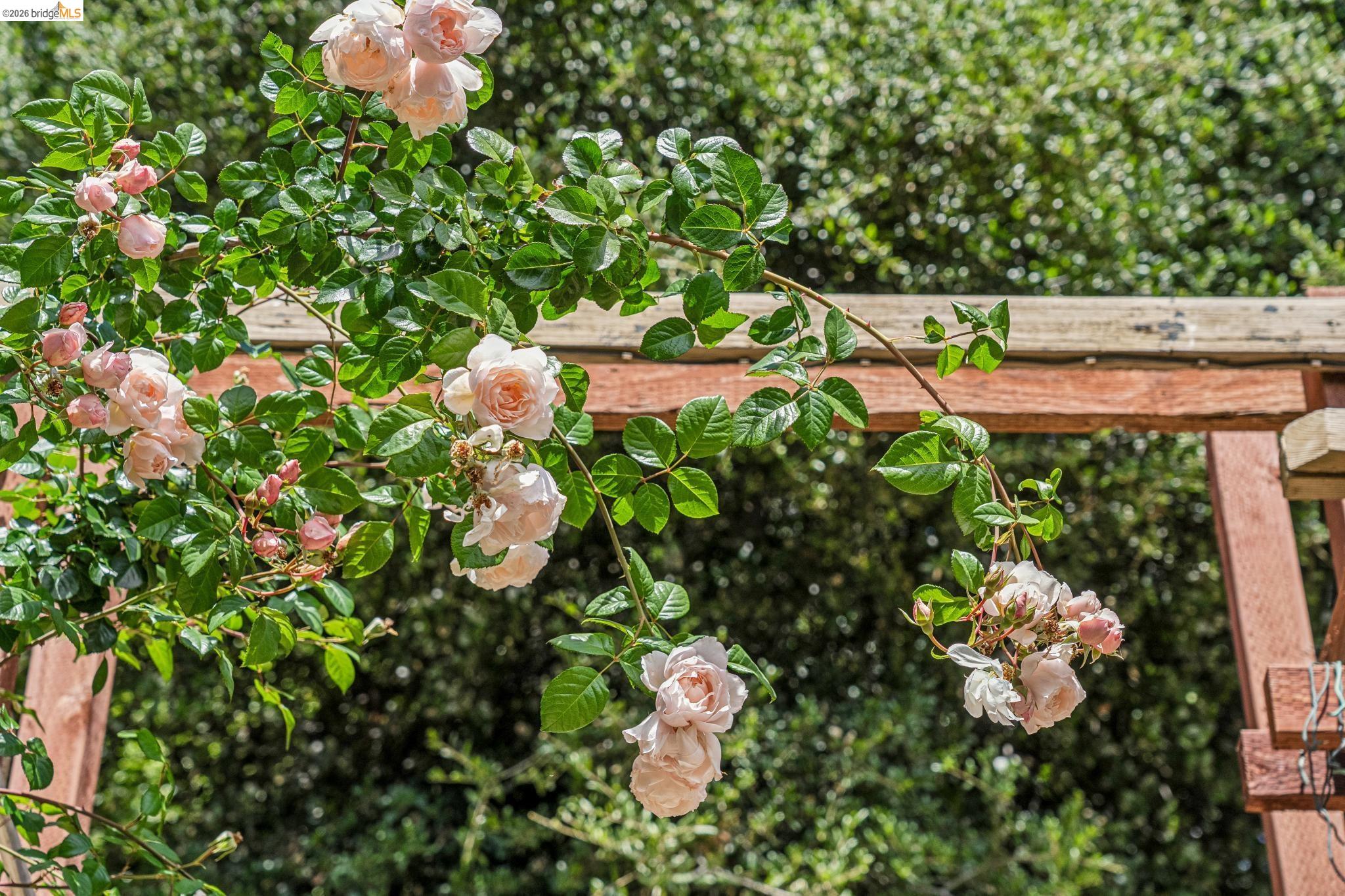 6383 Valley View Road Oakland, CA 94611 - Photo 66 of 99