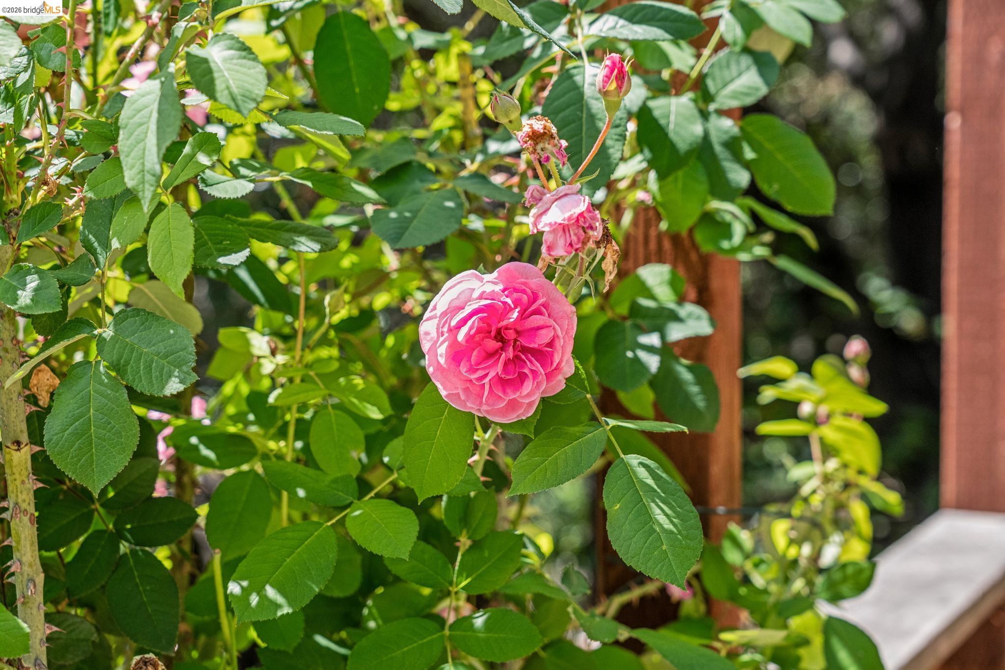 6383 Valley View Road Oakland, CA 94611 - Photo 67 of 99