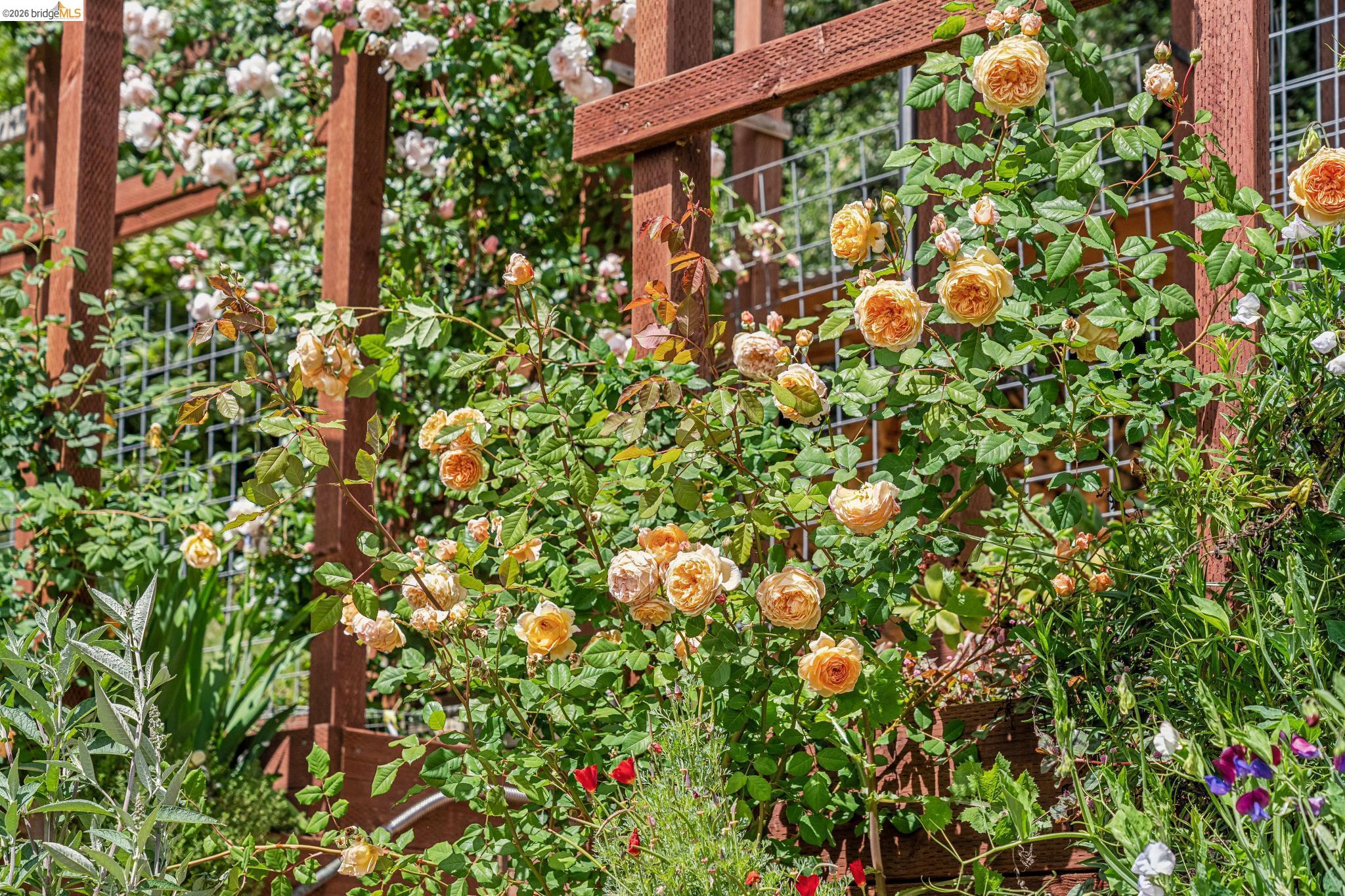 6383 Valley View Road Oakland, CA 94611 - Photo 69 of 99